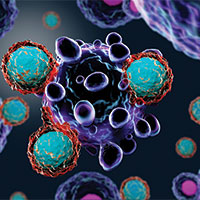 T-cells (purple) attacking cancer cells.